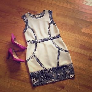 Dorothy Perkins, white and black bodycon dress